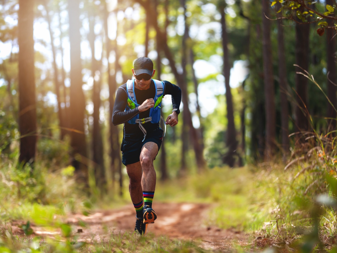 A trail runner on a wooded path in early morning light
